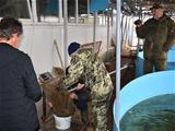 Нажмите для увеличения