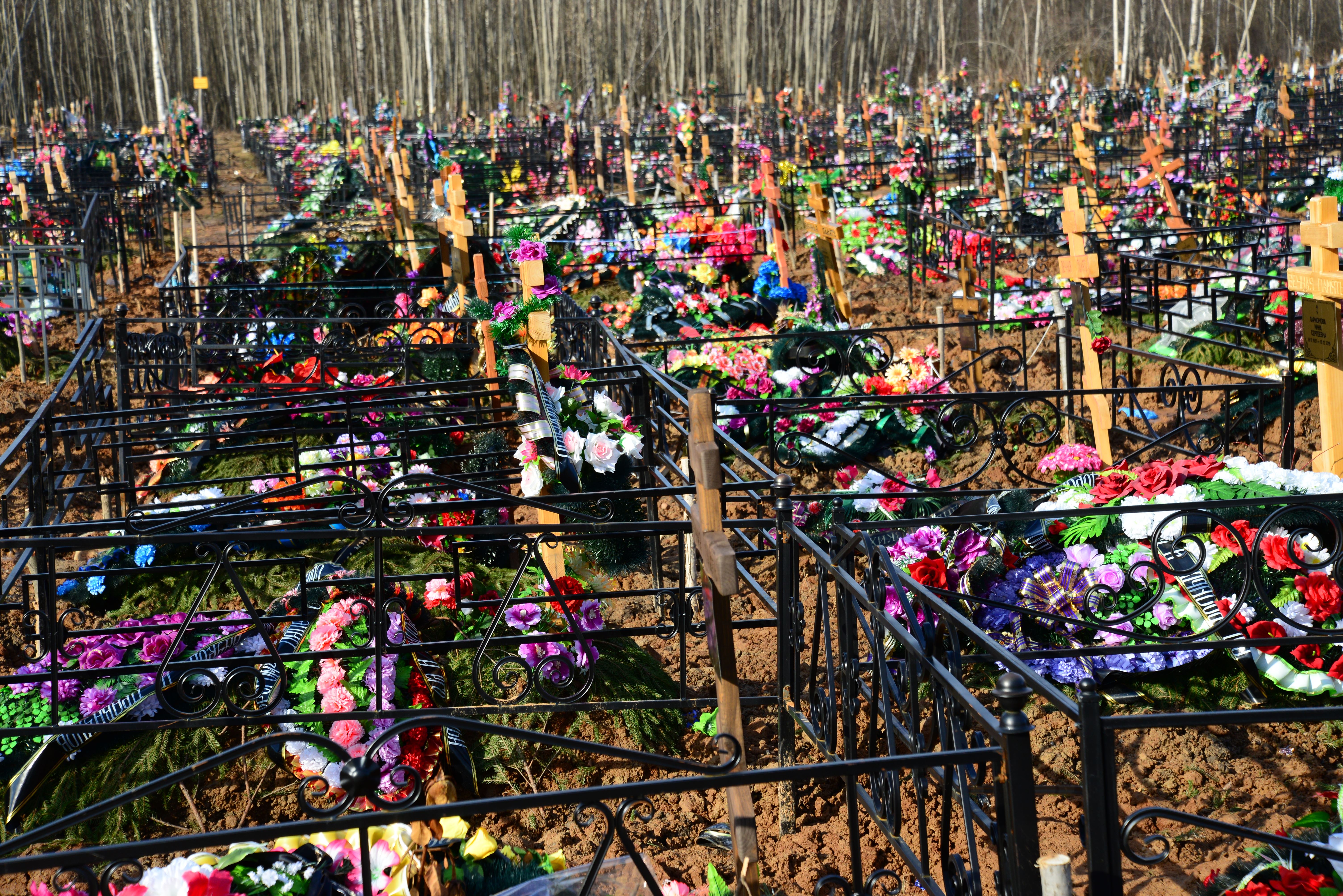 Почему названо кладбище. Фенинское кладбище. Российское кладбище. Русские кладбища в России. Переполненные кладбища в России.
