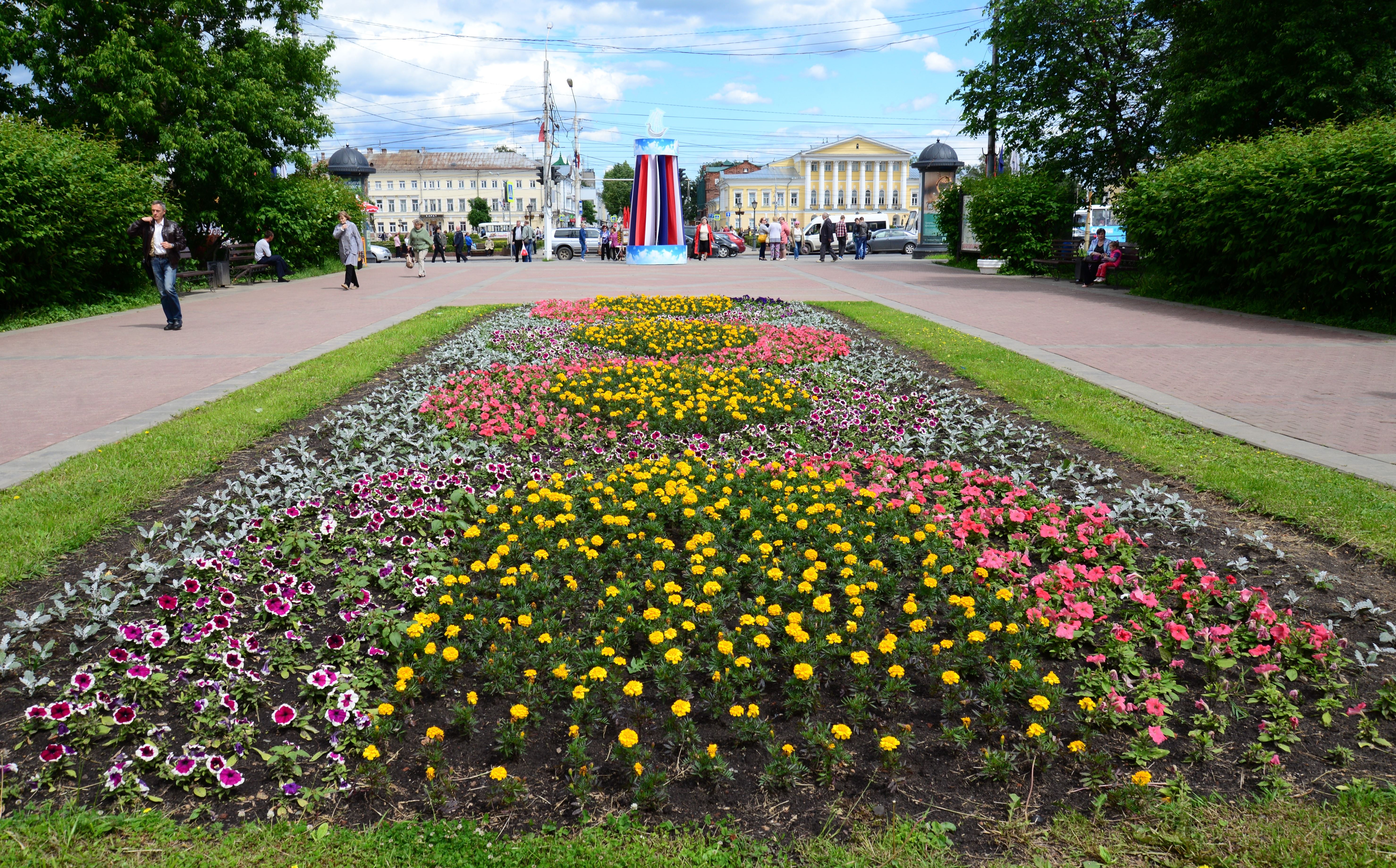 Кострома работаю. Кострома благоустройство. Благоустройство города Костромы. Кострома Озеленение города. Благоустроенный город Кострома.