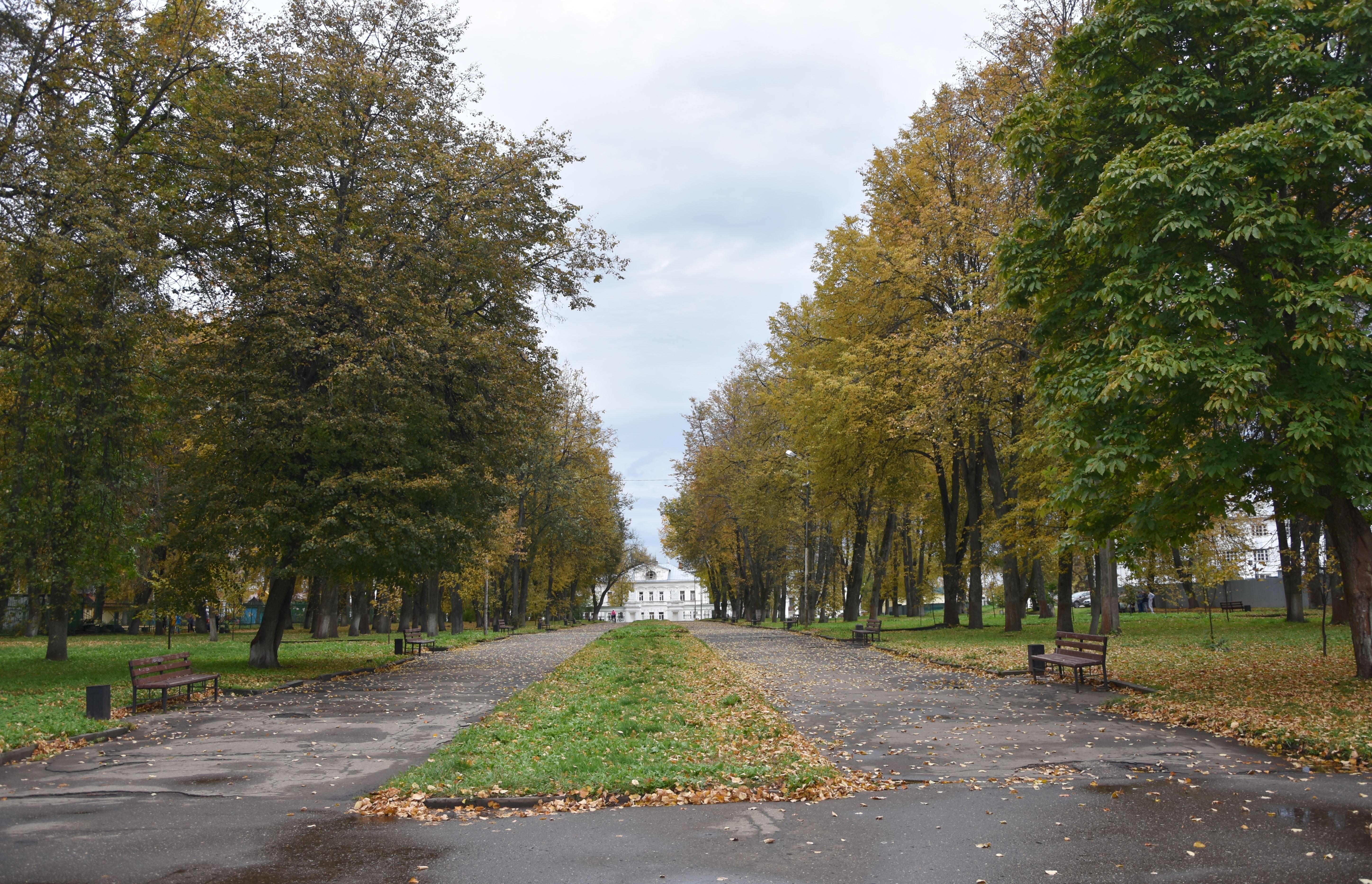 Парки костромы. Парк Ленина Кострома. Центральный парк Кострома. Парк Кострома скверы. Парк Ленина Кострома реконструкция.