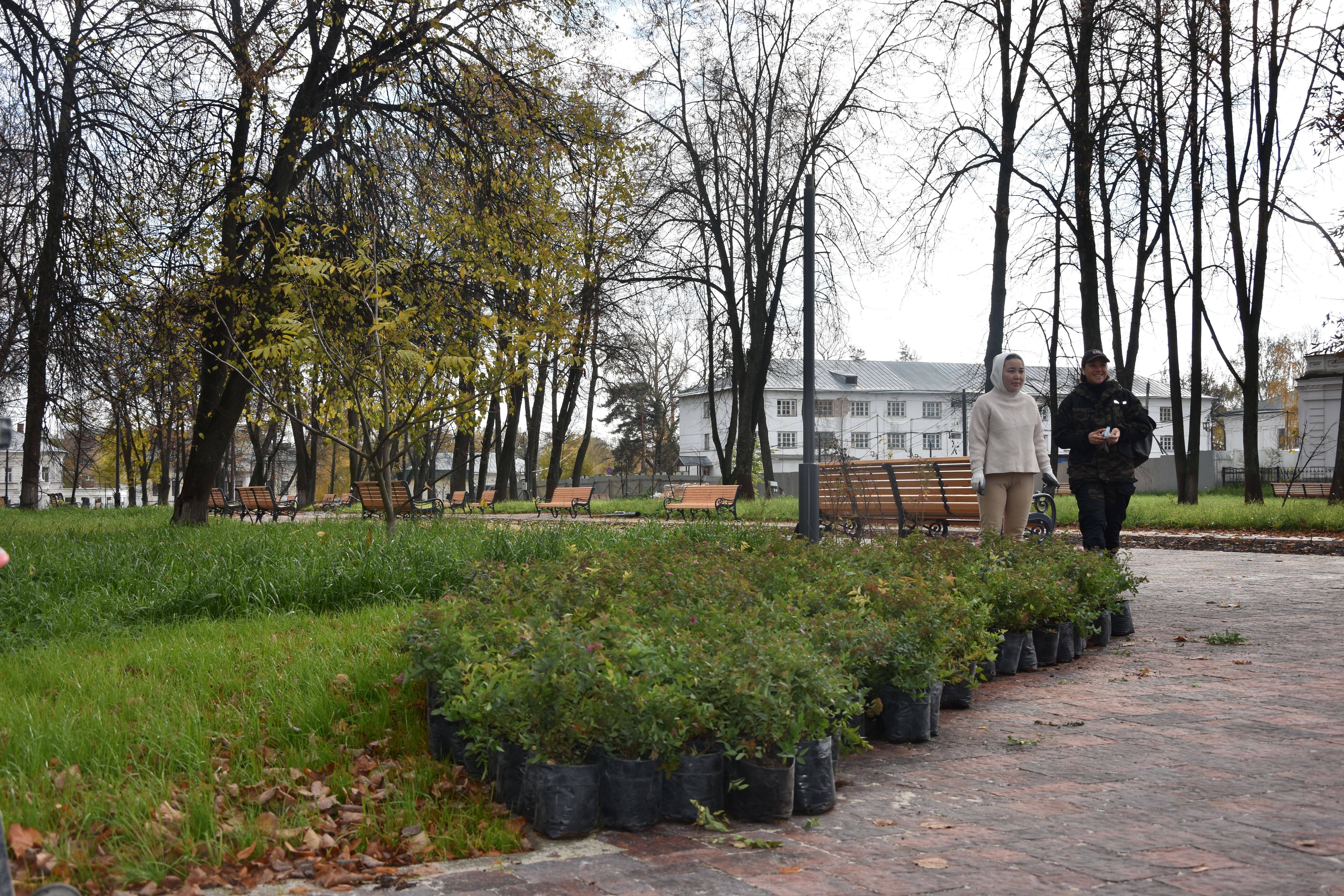 Обновим сквер. Сквер в Костроме. Парк на улице Костромской. Центральный парк. Кострома городской парк.