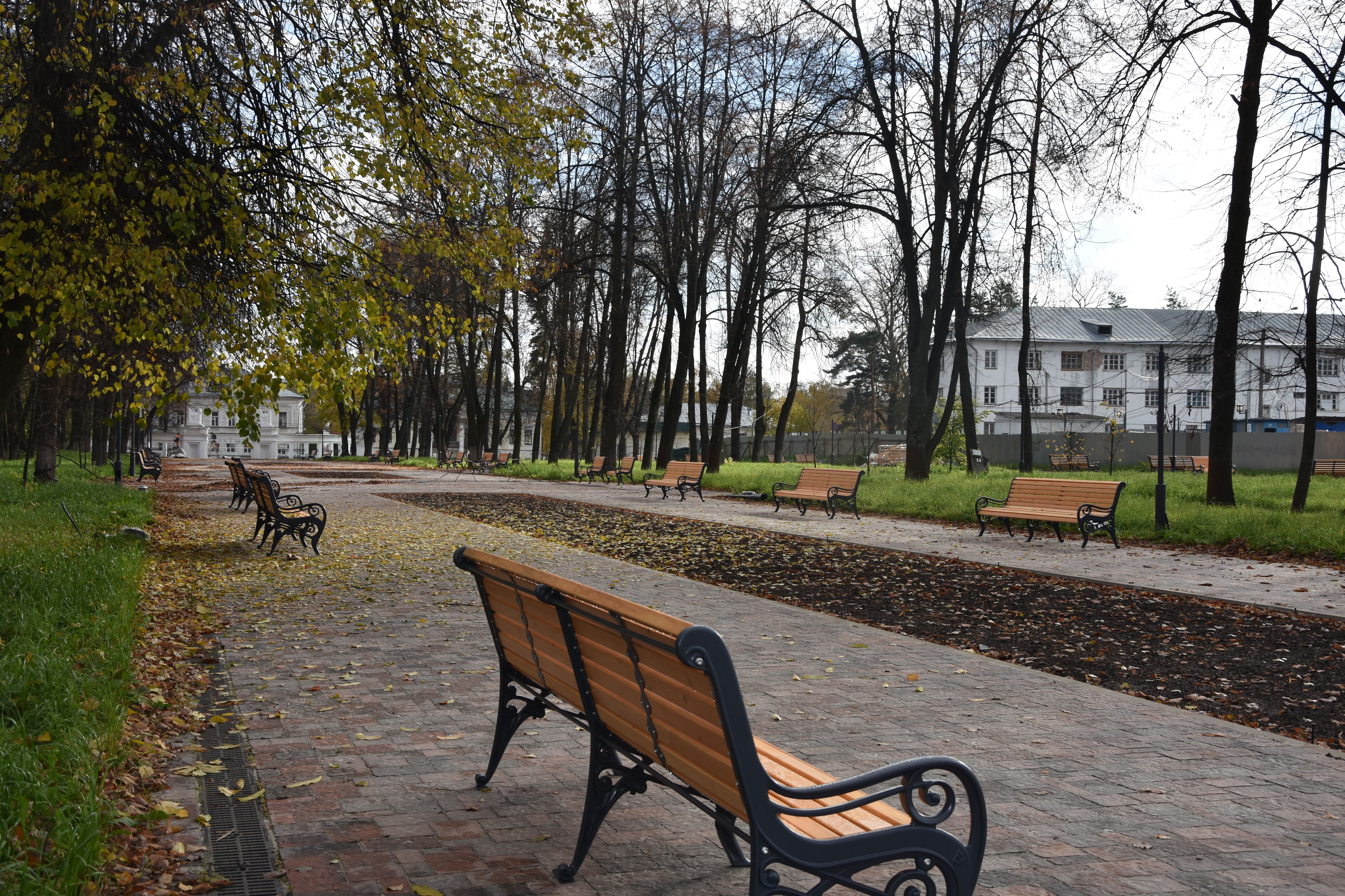 Центральный кострома. Лесопарки в Костроме. Центральный парк. Парк Победы Кострома. Клумба в сквере Ковалихинский.