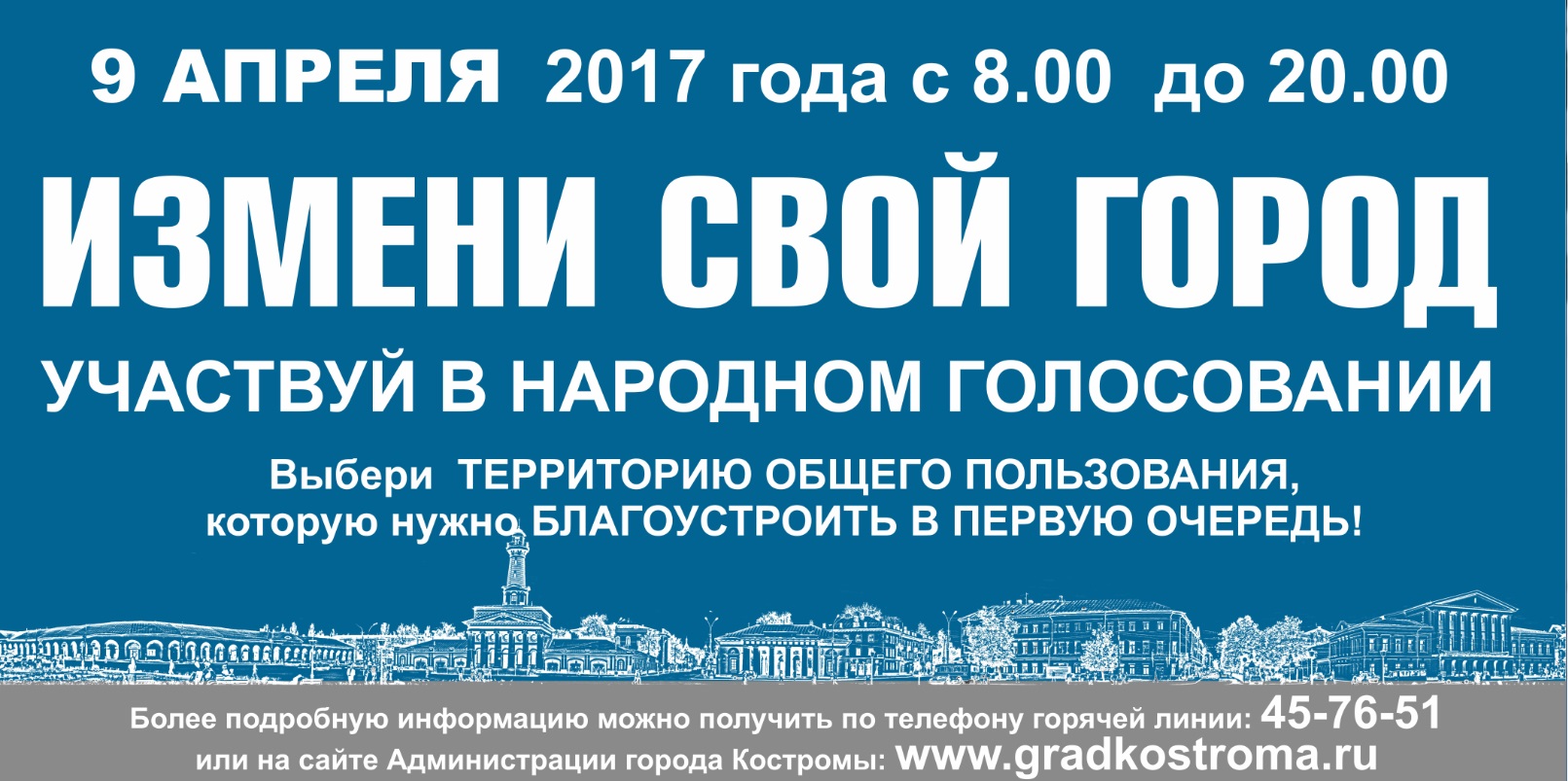 Народное голосование 2017